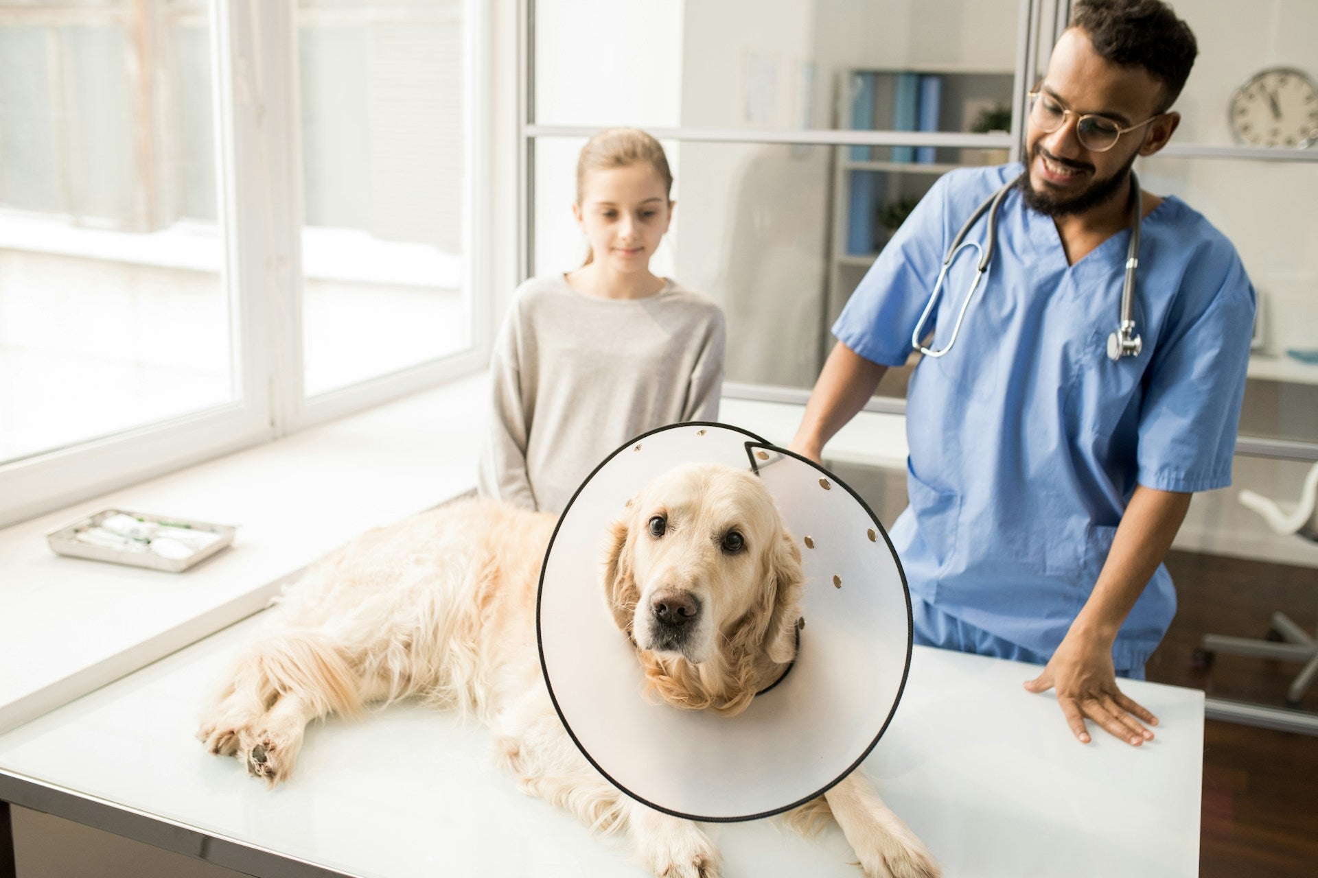 veterinary