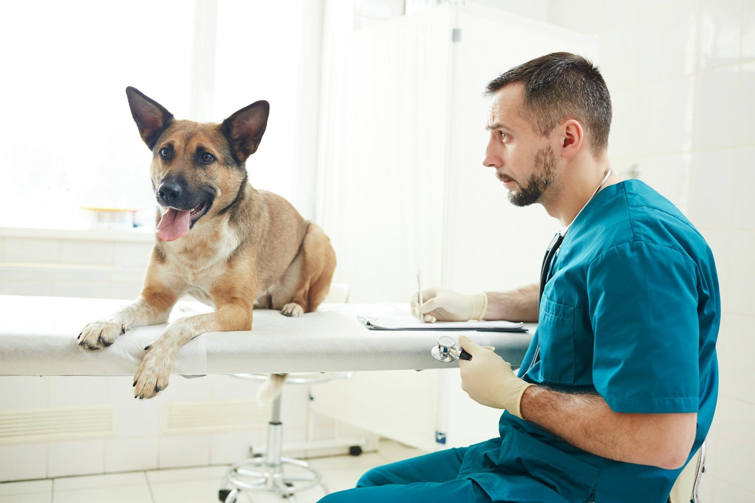 vet setting