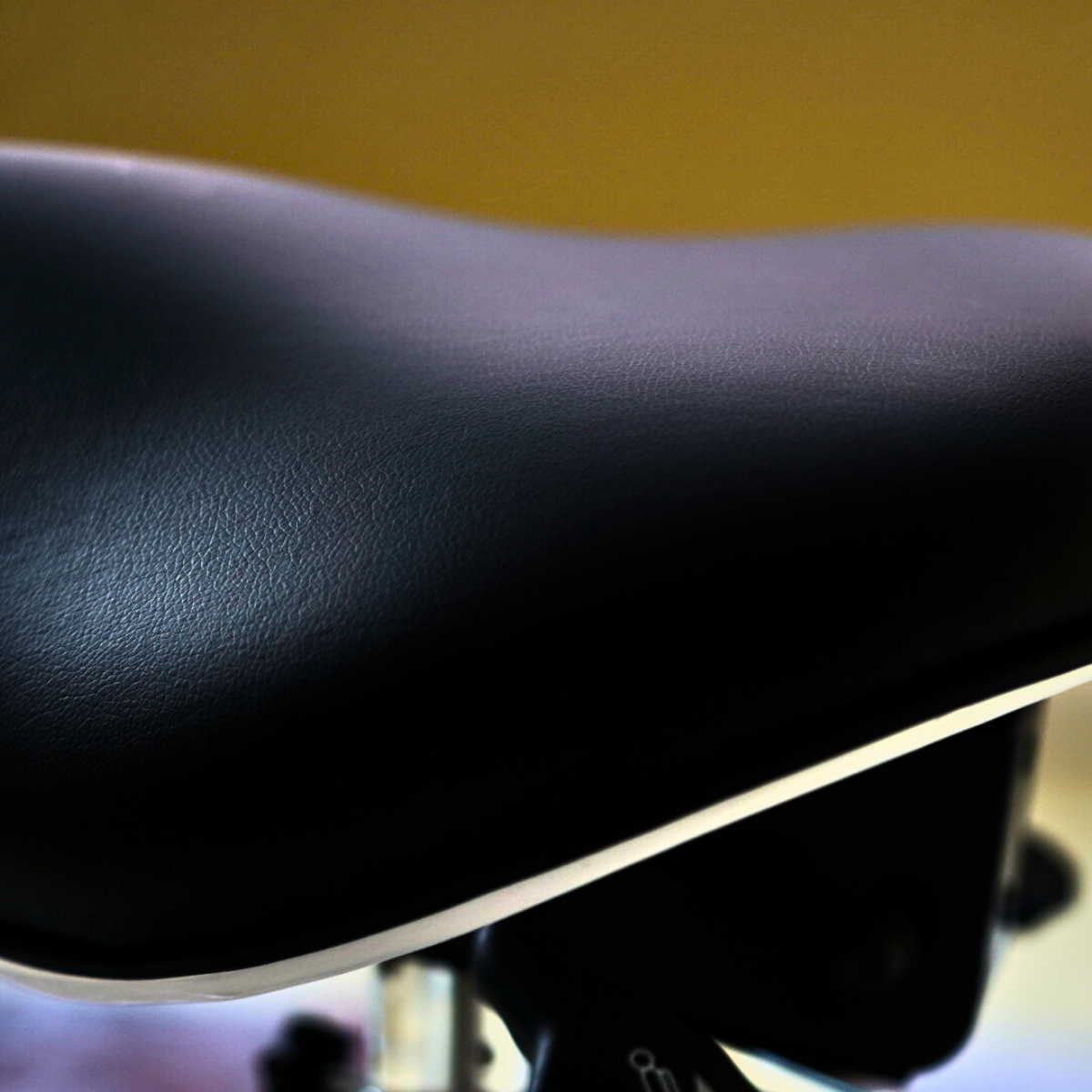 SADDLE STOOLS - SHOP CANADA π¨π¦