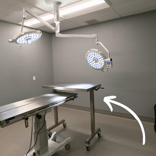 Over-the-Patient Instrument Table (OTPIT) — Rolls Over Any Surgery Table