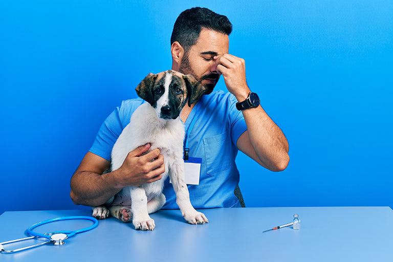 Burnout and stress in the veterinary industry increase during the COVID-19 pandemic