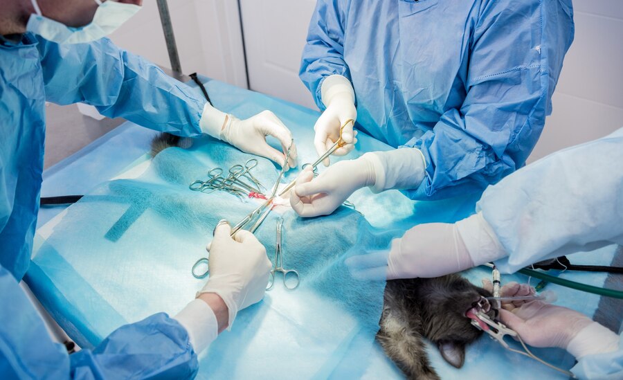 vet suture