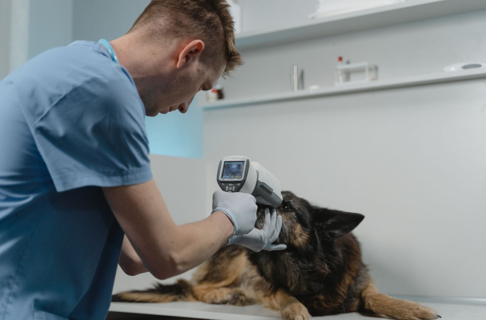 Maintaining The Longevity Of Your Capital Equipment In Veterinary Clinics