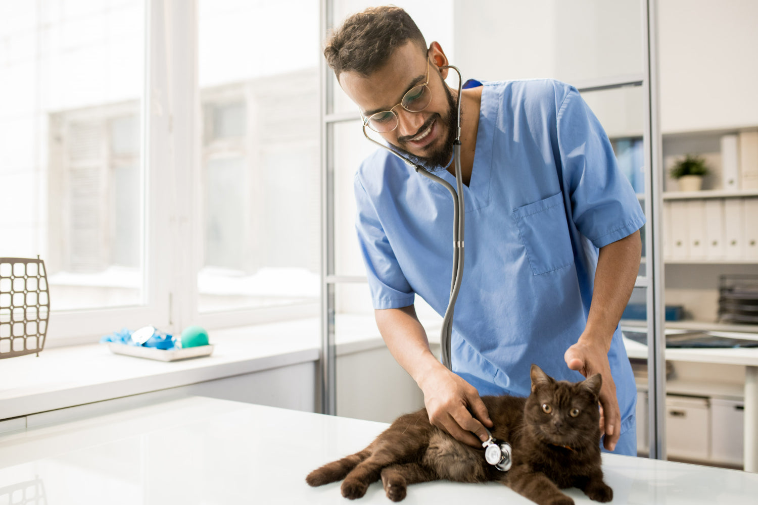 vet
