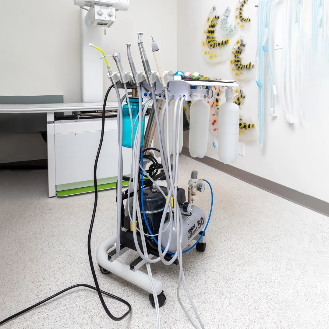 Shop Dental Carts