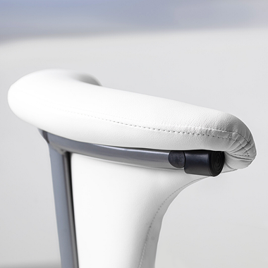 Saddle Stool: Accessories
