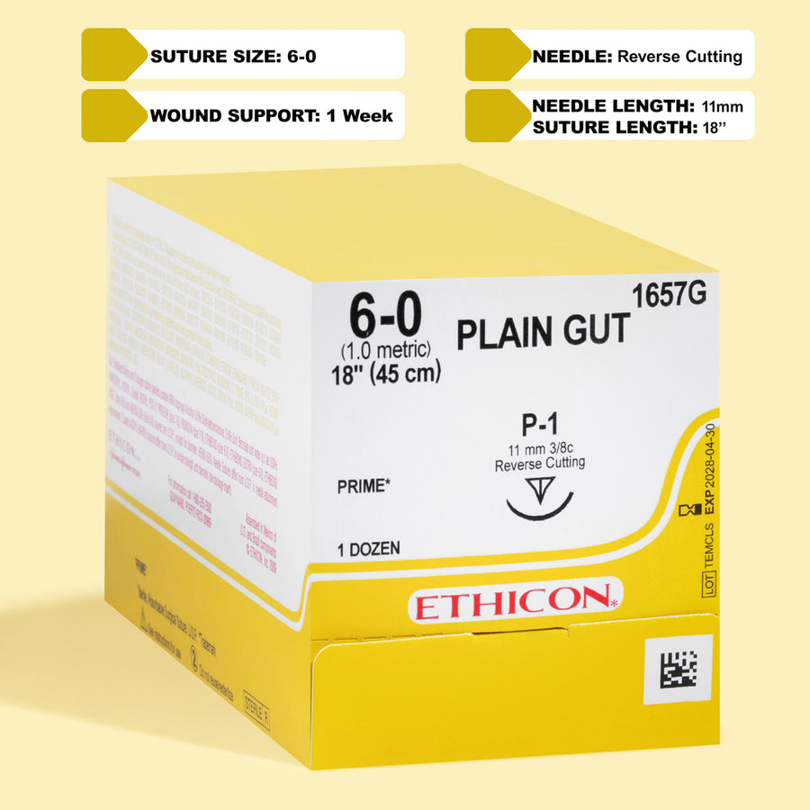 Fil de suture Catgut simple 6-0, aiguille P-1 de 18 po | 1657G